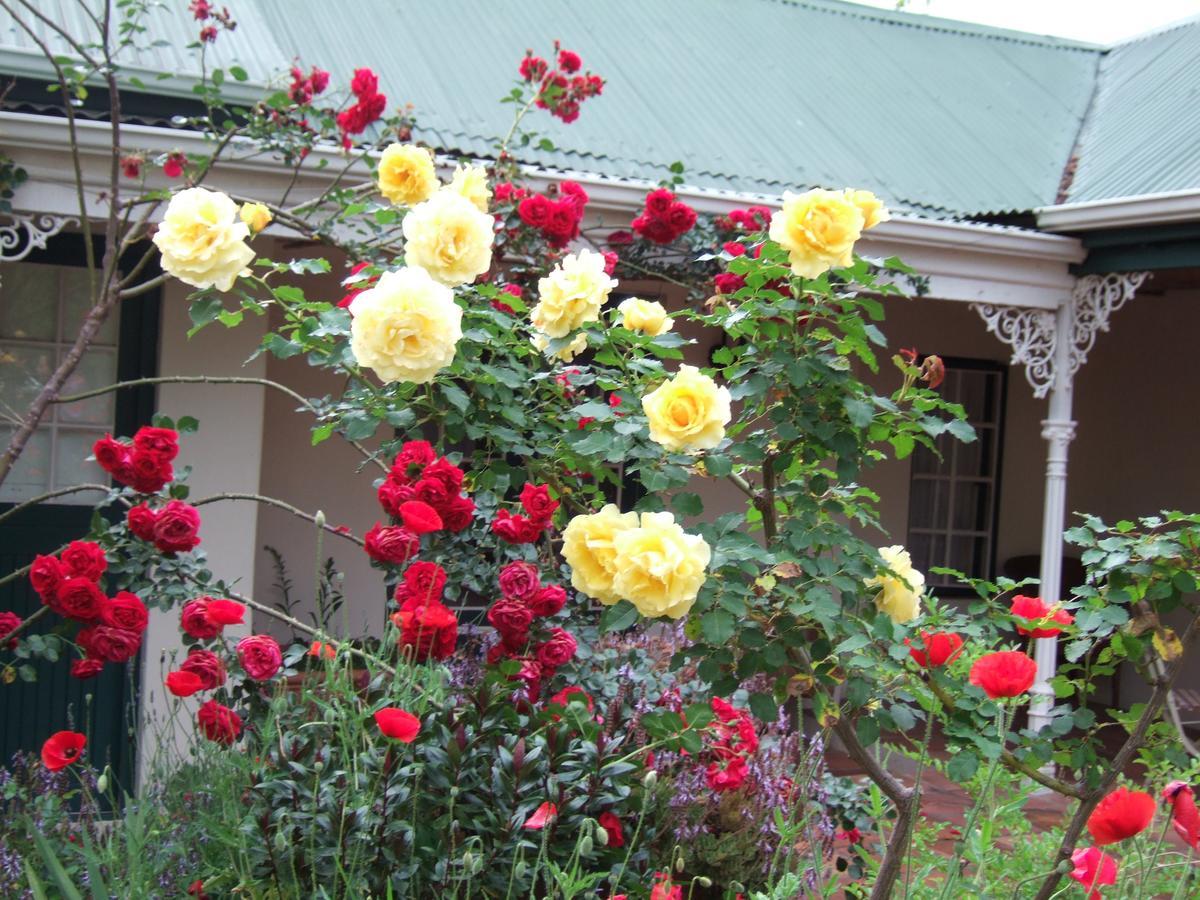 High Hopes Hotel Greyton Exterior photo